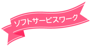 ソフトサービスワーク